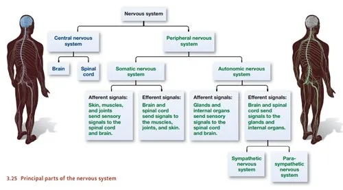 covid stress impact on health